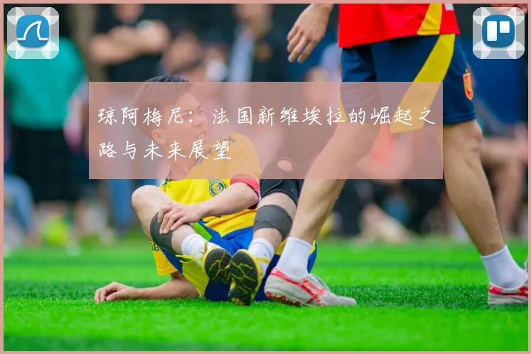琼阿梅尼：法国新维埃拉的崛起之路与未来展望